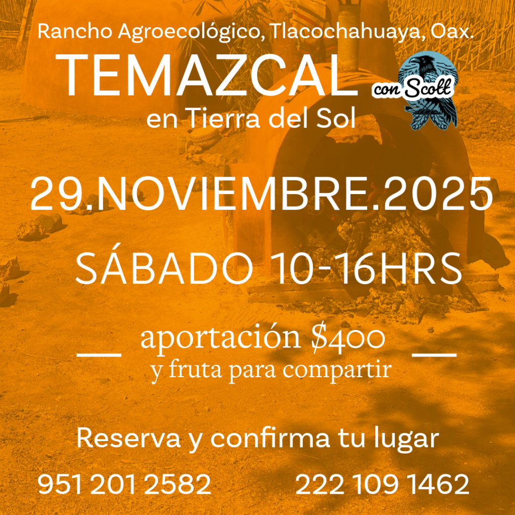 TEMAZCAL CON SCOTT EN TIERRA DEL SOL
29 Noviembre 2025, 10am

Tod@s Bienvenid@s. Ceremonia en la tradición Ojibwe guiada por el Abuelo Scott. Inglés y español.
Villa Agroecológica Tierra del Sol, San Jerónimo Tlacochahuaya. Oaxaca.

Aportación 400 pesos por persona. Trae tu thermo de agua y fruta para compartir al final.
Registro al whatsapp 222.1091462

Gracias a todas nuestras relaciones. Aho!
