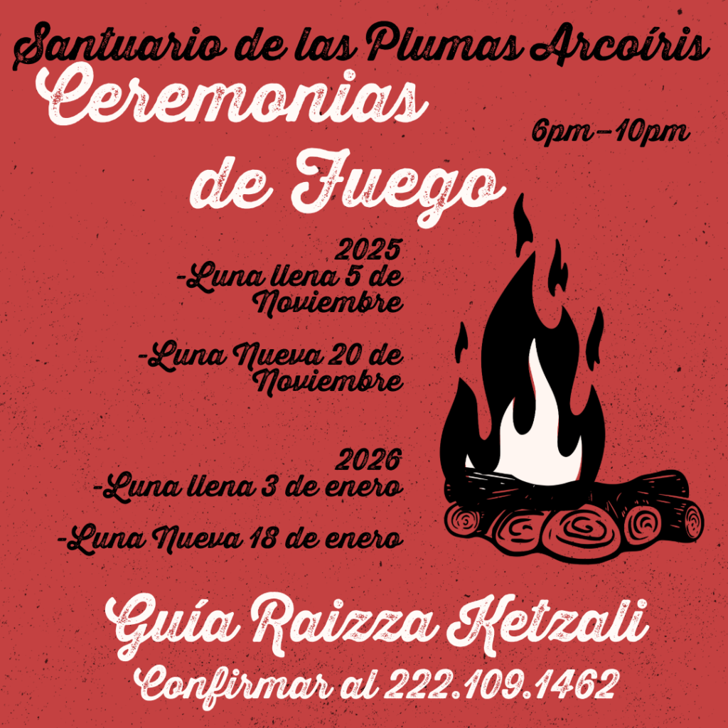CEREMONIA DE FUEGO
05 de Noviembre. 6-10pm & 20 Noviembre. 6-10pm.

Abrimos círculo para recibir al Abuelo Fuego y ofrendar nuestra sanación, nuestros procesos emocionales. Un espacio para transformar y recibir la luz del Abuelo Fuego. 

Nos encontramos en el Nos encontramos en el Santuario de las Plumas Arcoíris a las 9:45am para subir a la Presa juntos. No olvides traer tu sombrero, agua y fruta para compartir. Comparte: Raizza Ketzali.

Te esperamos. Actividad gratuita. San Lorenzo Cacaotepec, Oaxaca.
Informes al whatsapp 222.1091462

Gracias a todas nuestras relaciones. Aho!
